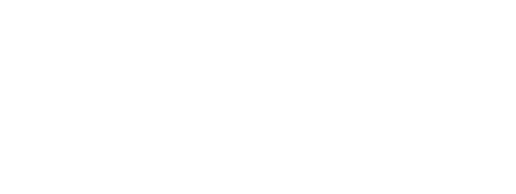Bulbulir Travel logo